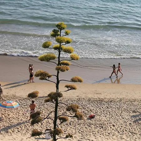 Planta Baja Apartamento Conil De La Frontera